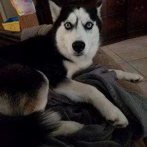 Meet your Posher, Jodie